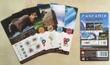 Cascadia: Kickstarter Promo Cards
