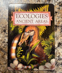 Ecologies: Ancient Areas