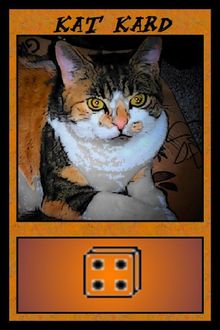 Cats in a Box: A Game of Feline Photography