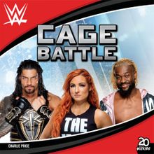 WWE Cage Battle