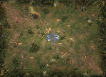 Mage Wars: Arena Playmat – Straywood Forest