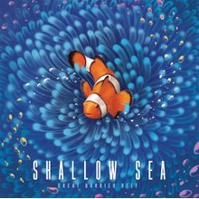 Shallow Sea