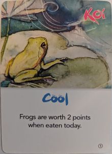 KOI: Cool Weather Promo Card