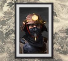 Entropy: The Ronin expansion