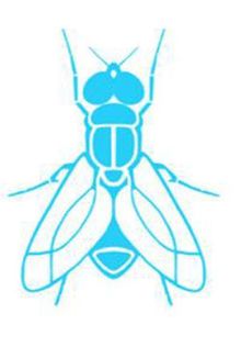 Fly (fan expansion for Hive)