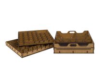 Gloomhaven: E-Raptor Insert