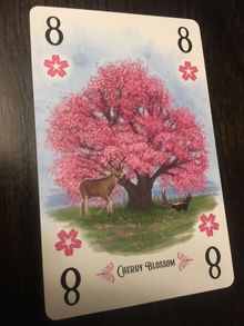 Arboretum: Alternate Art Cherry Blossom 8-Card
