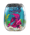 Betta