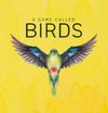 A Game Called Birds