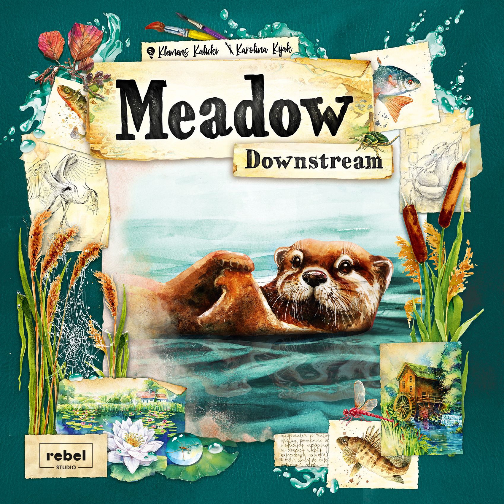 Meadow: Downstream | Compare Prices Australia | Board Game Oracle