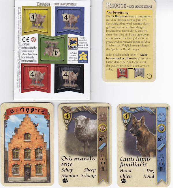 Brügge: Die Haustiere